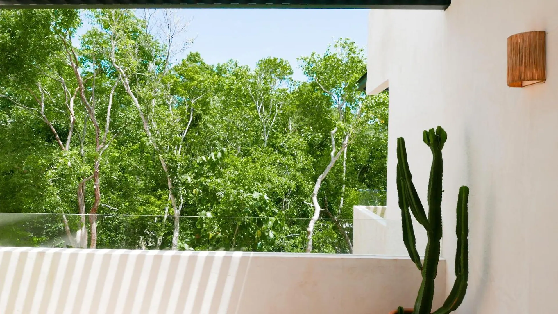 Luxury Beach Apartment In The Most Exclusive Area Of Tulum Mexico